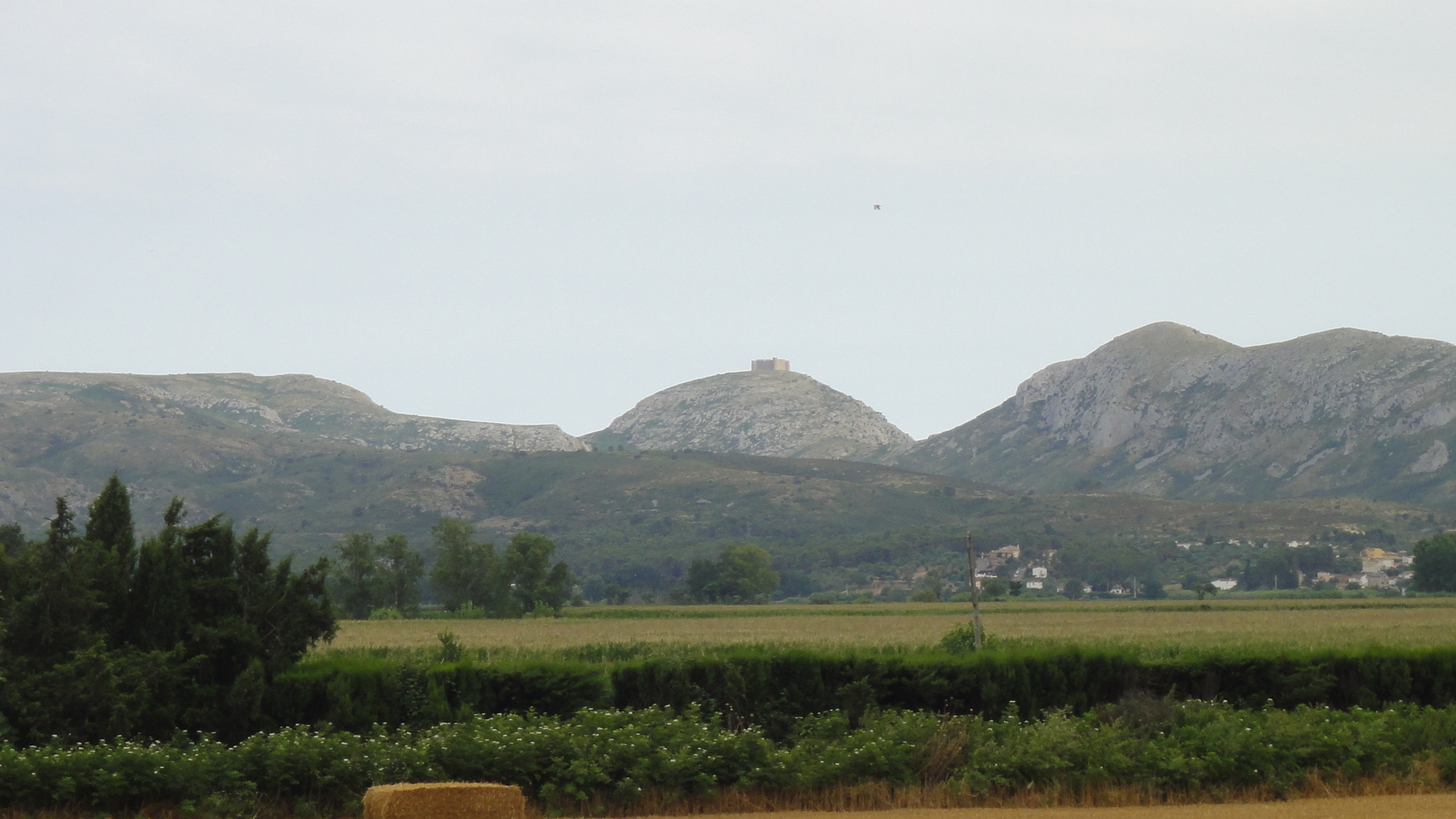 Albons, Baix Empordà, Girona. Preciosas fotos de sus campos