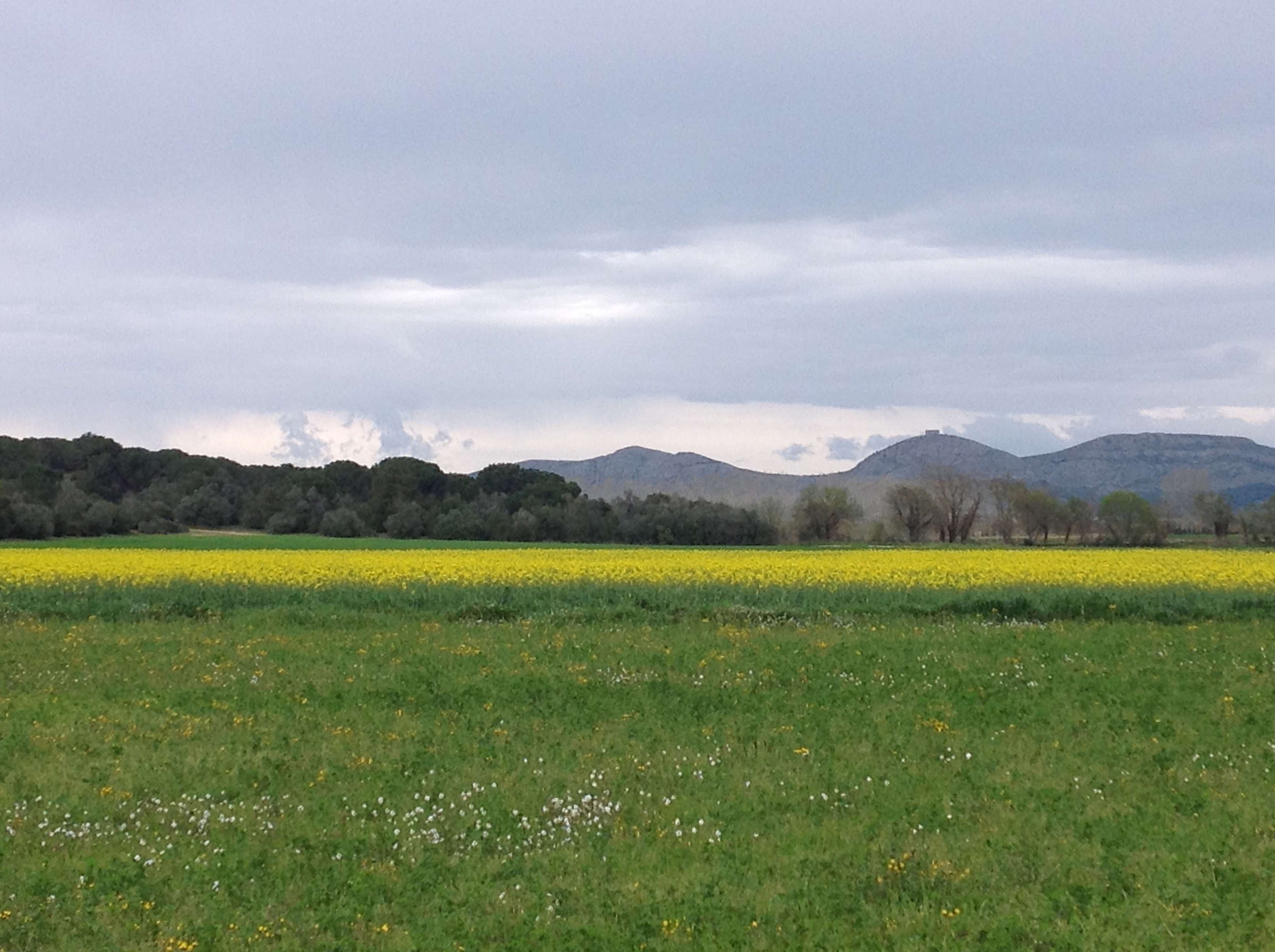 Vistas de campos de Bellcaire d´Empordà