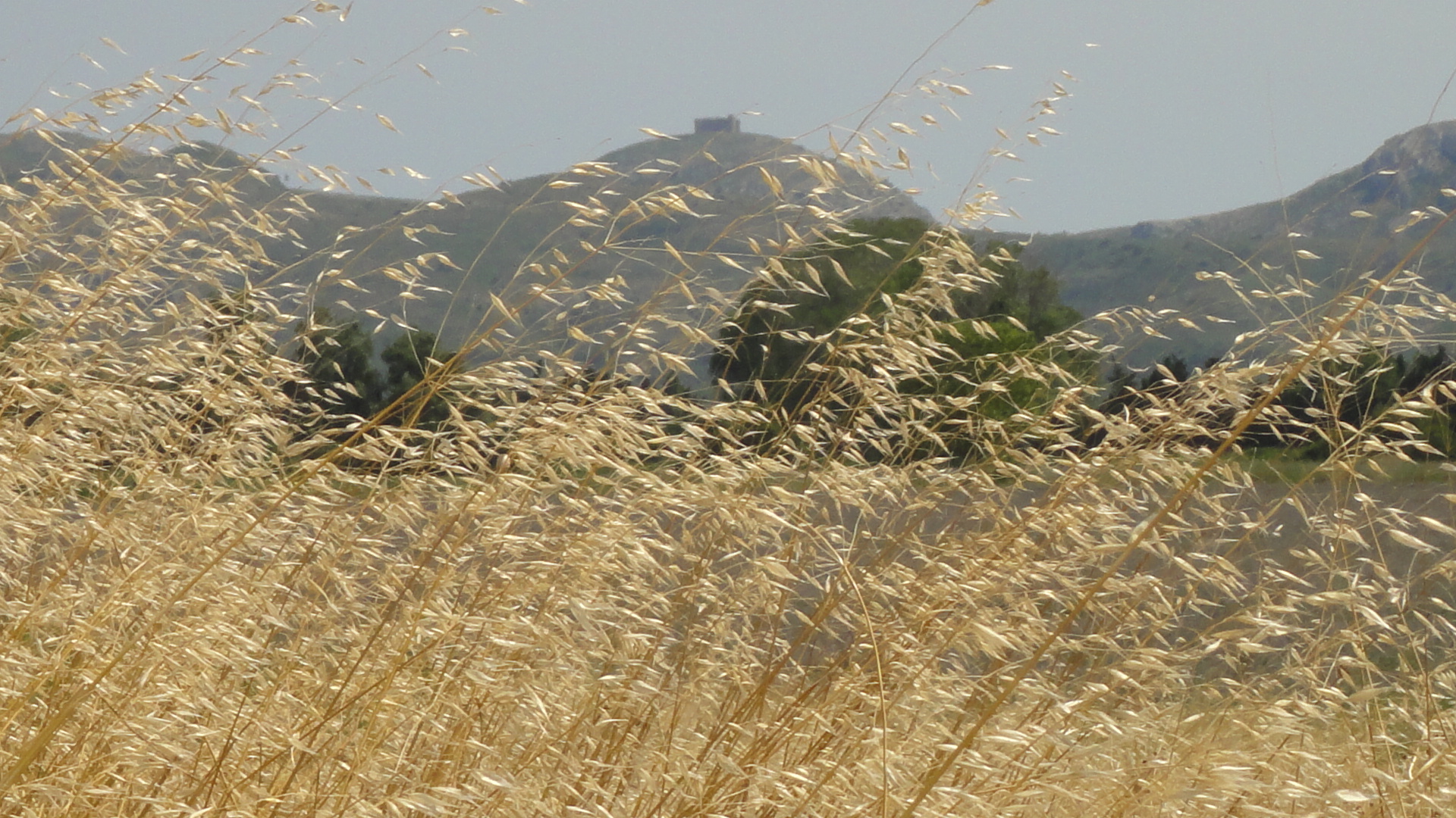 Campos del Baix Empordà, Cases Singulars del Empordà