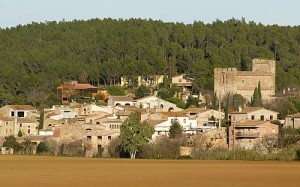 saus camallera alt emporda parcelas venta Cases Singulars Empordà (2)