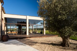 pals_casa_en_venta_mas_moscat_baix_emporda_cases_singulars_emporda_masia